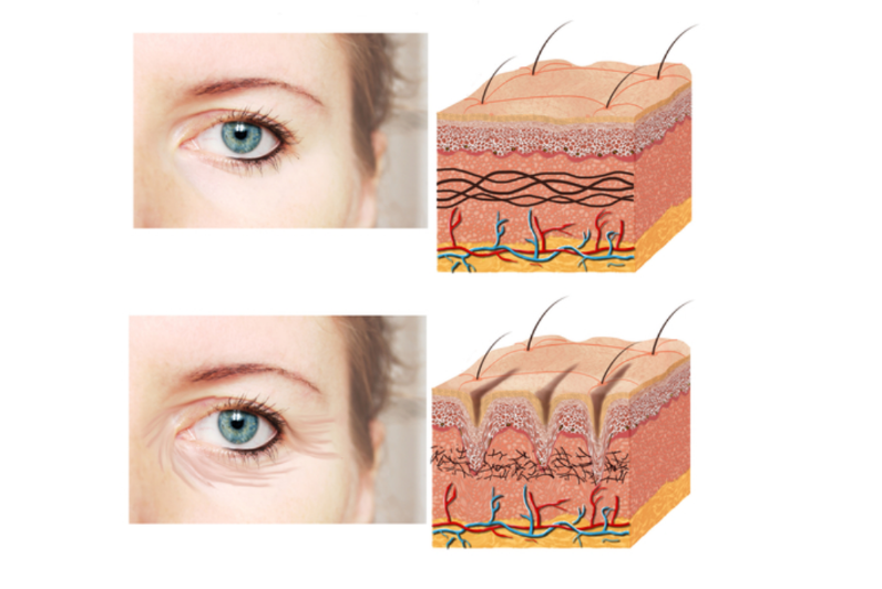 Practice - Orthopaedic Surgeon Website Template